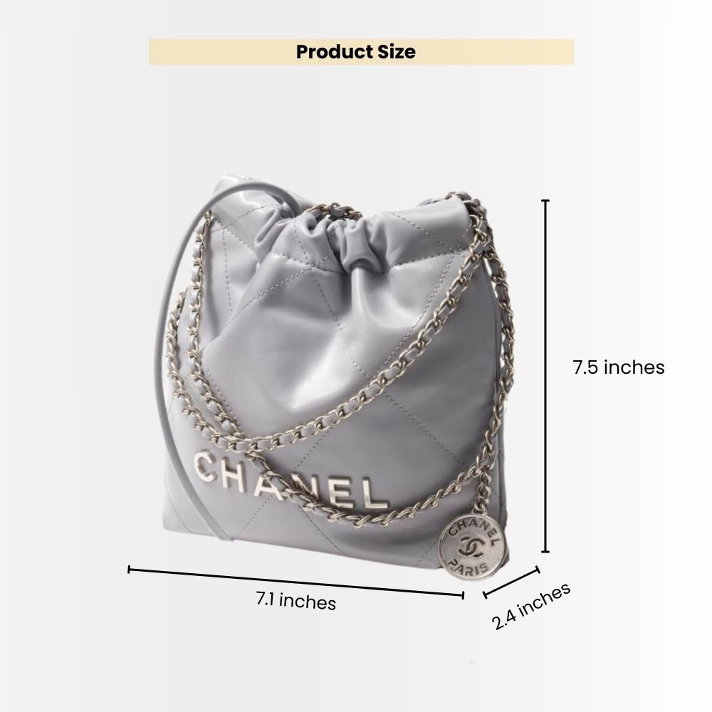 Chanel 22 Mini Handbag Gray 18cm