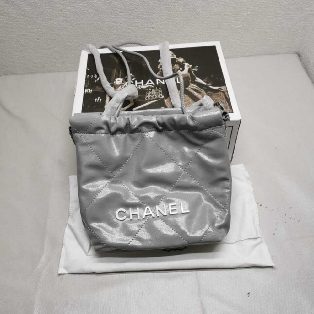 Chanel 22 Mini Handbag Gray 18cm