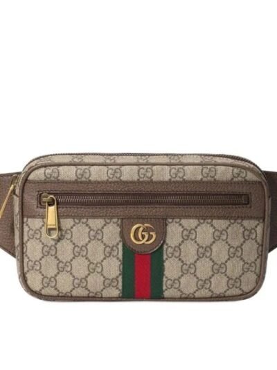 Gucci GG Ophidia Small Belt Brown Bag 24Cm 574796 97SIT 8747