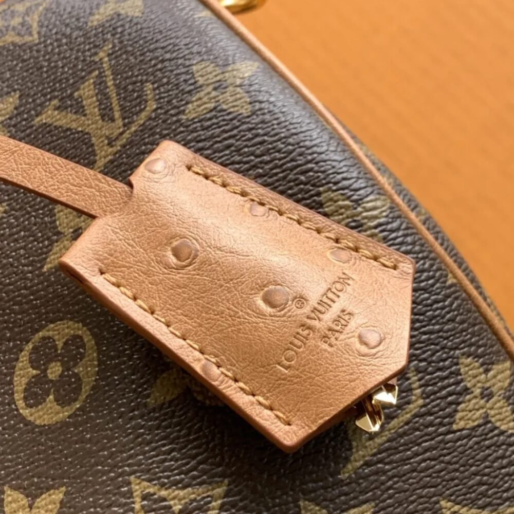 Louis Vuitton Speedy Soft 30 Boho Monogram Tan 30Cm N87212