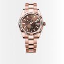 Rolex Sky Dweller Oyster Everose Gold Chocolate Dial 42mm 336935 0002